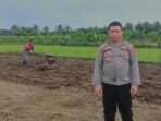 Jalankan Program Ketahanan Pangan, Polsek Cikeudal Manfaatkan Lahan Non Produktif Menjadi Produktif Bagi Petani Jalankan Program Ketahanan Pangan, Polsek Cikeudal Manfaatkan Lahan Non Produktif Menjadi Produktif Bagi Petani