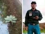 Dari Lima Indukan Menjadi Ribuan Ekor: Perjuangan dan Keberhasilan Iwan Dani dalam Budidaya Ikan Nila Bangkok di Katibung Dari Lima Indukan Menjadi Ribuan Ekor: Perjuangan dan Keberhasilan Iwan Dani dalam Budidaya Ikan Nila Bangkok di Katibung