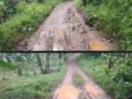 Jalan Rusak 25 Tahun di Kampung Tampakaso, Negara Absen di Tengah Batu dan Lumpur Jalan Rusak 25 Tahun di Kampung Tampakaso, Negara Absen di Tengah Batu dan Lumpur