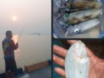 Pelarangan Mancing di Pantai Selaki Tarahan oleh PT SMB Picu Kekecewaan Warga
