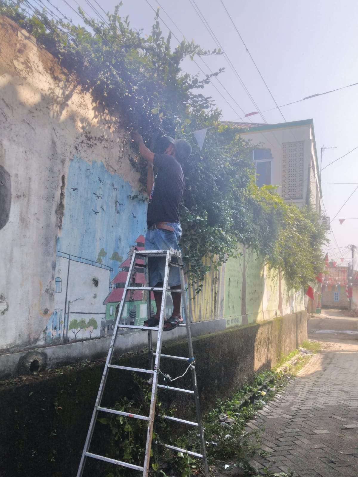Ketua RW 04 dan Pemuda Parung Gelar Aksi Bersih-Bersih Pohon untuk Wujudkan Lingkungan Nyaman