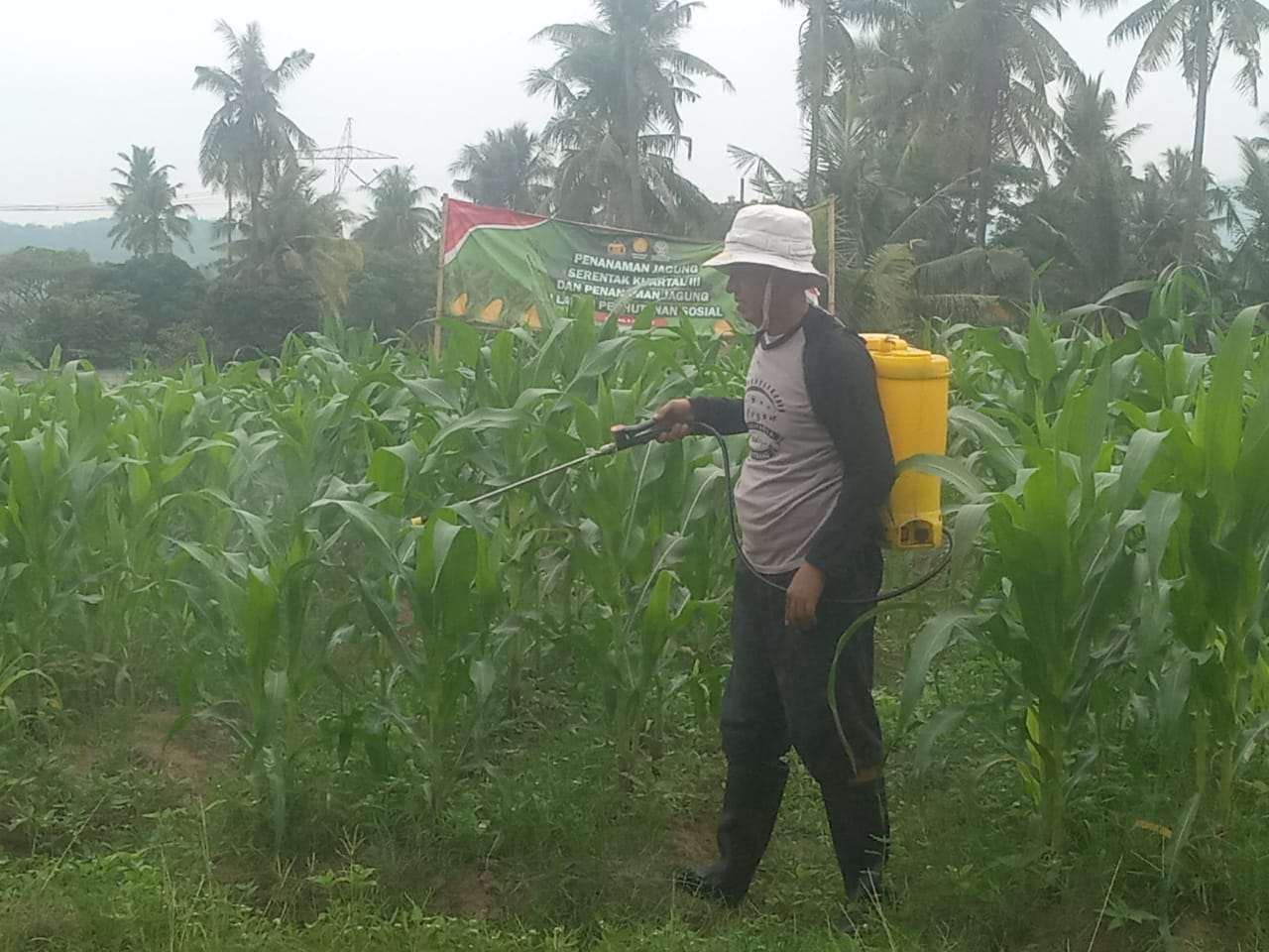 Wowo RW Cilentrang Jadi Inspirasi Pemuda Milenial dalam Wujudkan Ketahanan Pangan