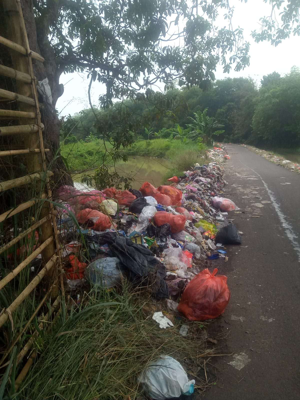 Lina, Lurah Panancangan Tegaskan Bank Sampah Jadi Solusi Atasi Pembuang Sampah Liar