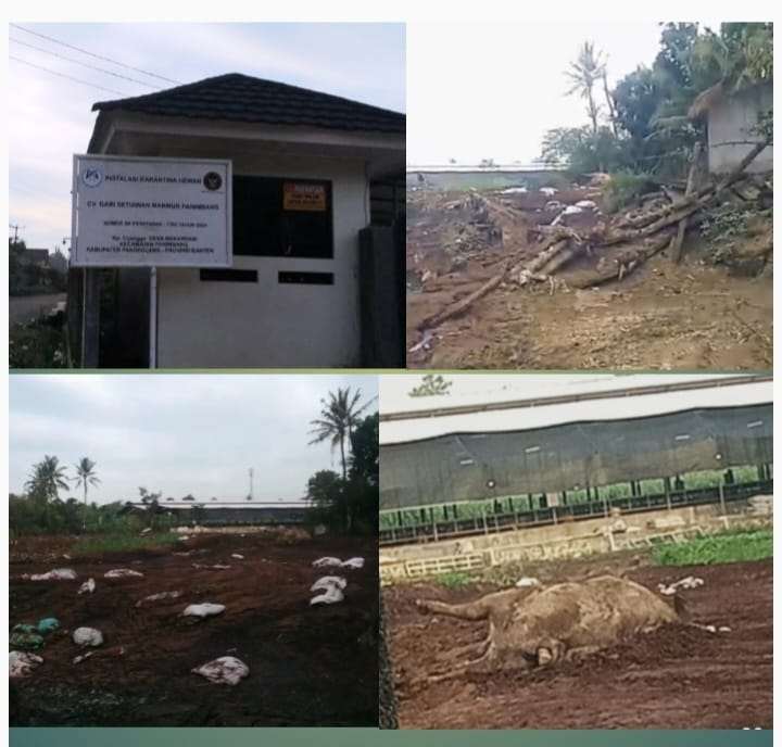 GWI Soroti Dugaan Limbah CV SGM, Warga Panimbang dan Sobang Keluhkan Polusi