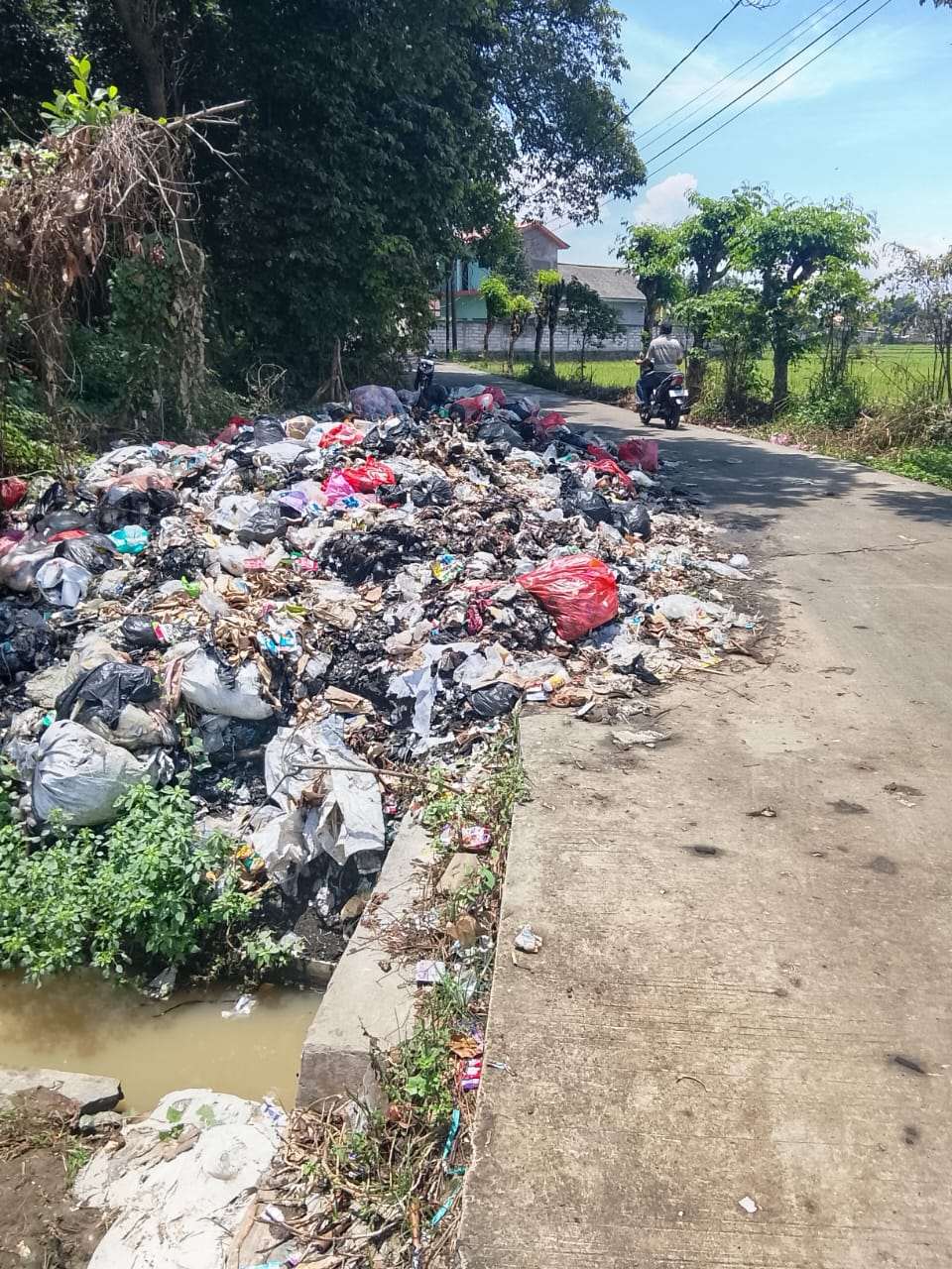 Jalan Raya Jeruk Tipis Jadi Tempat Pembuangan Sampah, Kepala Desa Diduga Tutup Mata Jalan Raya Jeruk Tipis Jadi Tempat Pembuangan Sampah, Kepala Desa Diduga Tutup Mata