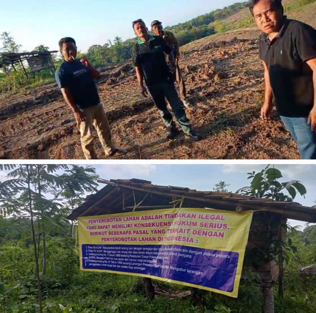 M Sodik SH laporkan H. Ra'in DKK Kepolres Pandeglang Karena Diduga Tanahnya Digusur Tanamannya Dirusak Serta Tanahnya Diserobot", PT Perkebunan Dwi Agri Dukung Pemilik Tanah M Sodik SH laporkan H. Ra'in DKK Kepolres Pandeglang Karena Diduga Tanahnya Digusur Tanamannya Dirusak Serta Tanahnya Diserobot", PT Perkebunan Dwi Agri Dukung Pemilik Tanah