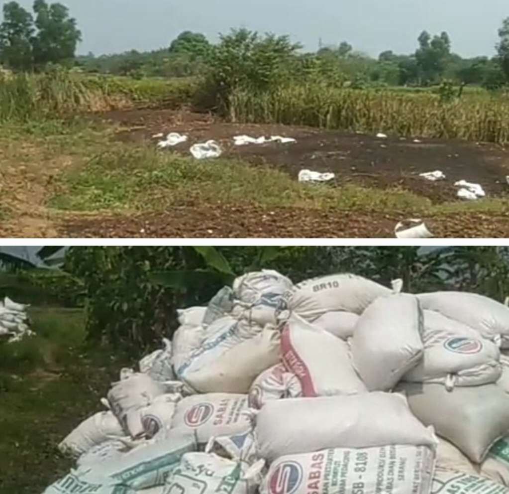 Warga Desa Cisait Resah, Diduga Limbah Kotoran Ayam Di Buang Sembarang Dan Menimbulkan Bau Menyengat Warga Desa Cisait Resah, Diduga Limbah Kotoran Ayam Di Buang Sembarang Dan Menimbulkan Bau Menyengat