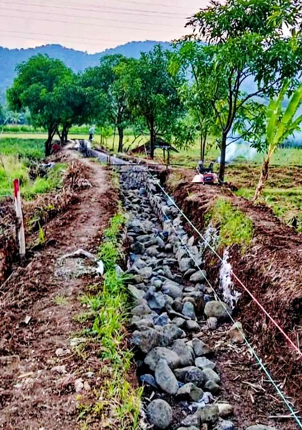 Program P3TGAI di Kabupaten Sumedang Berjalan Lancar, Wujud Kepedulian Pemerintah terhadap Petani Program P3TGAI di Kabupaten Sumedang Berjalan Lancar, Wujud Kepedulian Pemerintah terhadap Petani