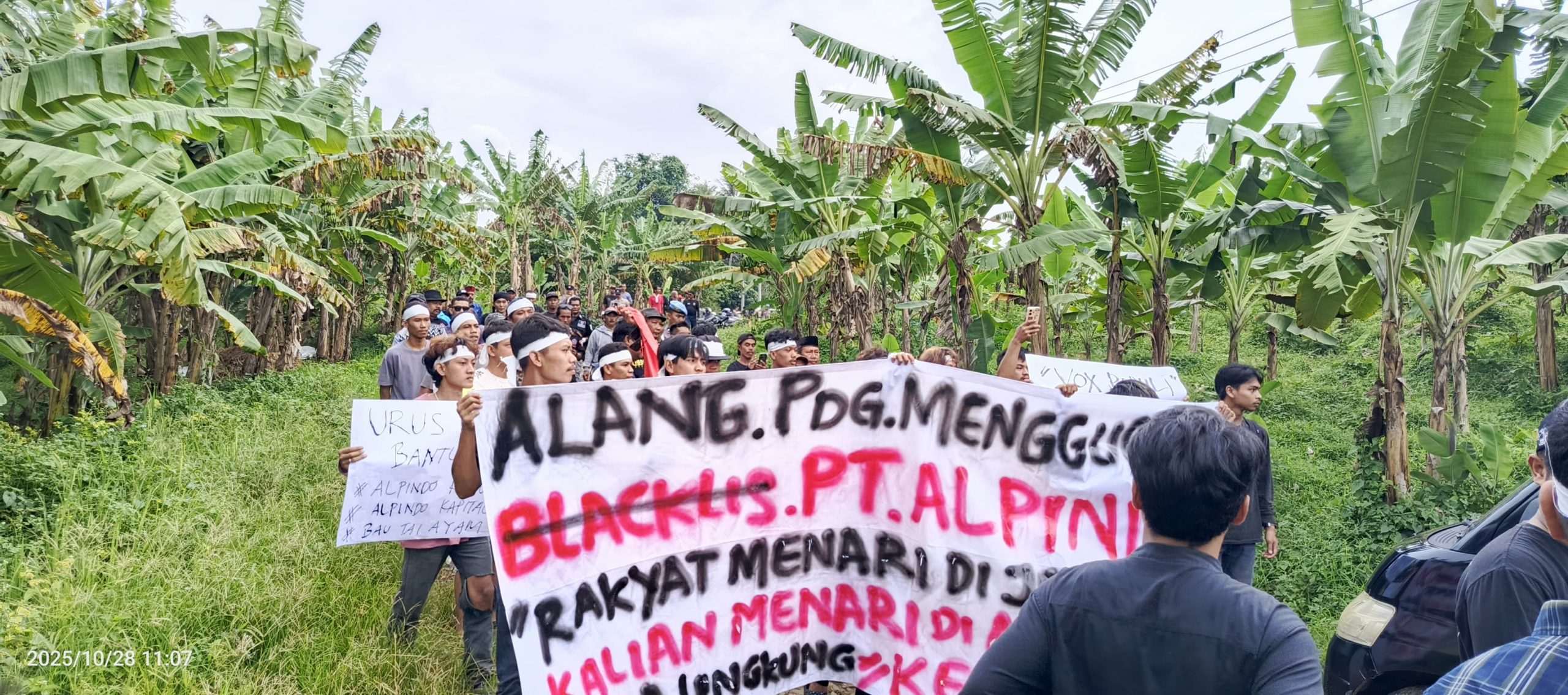 Dugaan Pencemaran dan Pelanggaran Perizinan, ALANG Gelar Aksi di Hari Sumpah Pemuda, Desak PT. ALPINDO Bertanggung Jawab